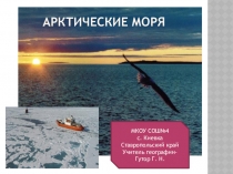 Презентация по географии на тему Арктические моря России (9 класс)