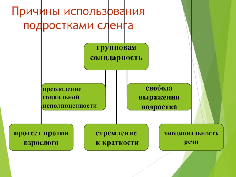 Почему представляю