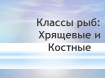 Презентация Костные и Хрящевые рыбы