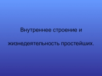 Презентация по Биологии внутреннее строение простейших
