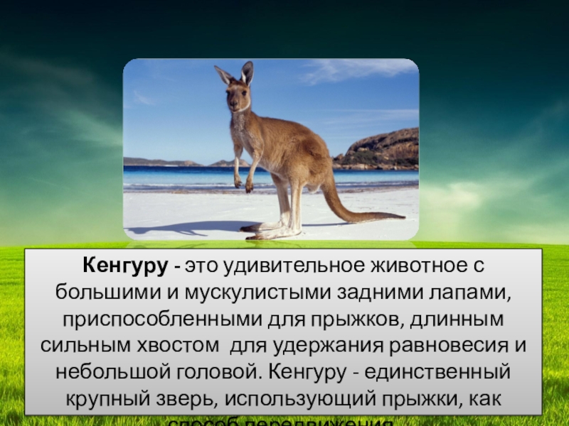 Презентация по окружающему миру 2 класс австралия