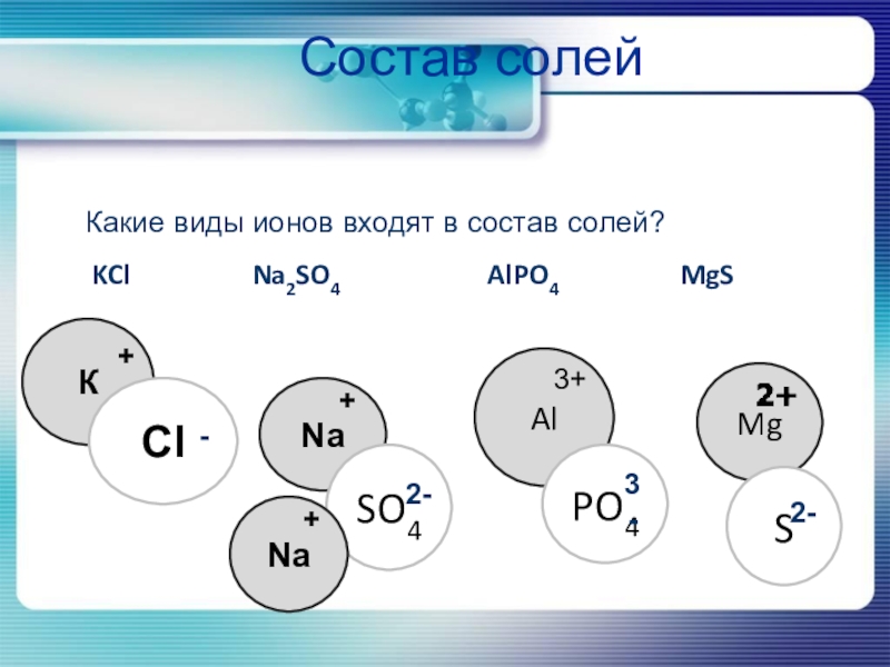 Виды ионов. Состав соли. Состав соли химия. Соли в виде ионов.