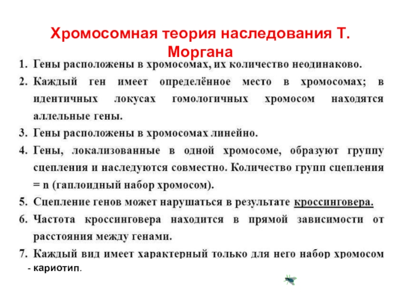 Теория моргана гены. Хромосомная теория т Моргана. Хромосомная теория наследования. Хромосомная теория наследства наследственности Моргана. Хромосомная теория Моргана кратко.