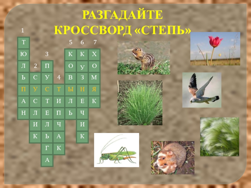 Пустыни 4 класс плешаков. Кроссворд степь. Кроссворд зона пустынь. Кроссворд по окружающему миру на тему степей. Кроссворд по окружающему миру зона степей.