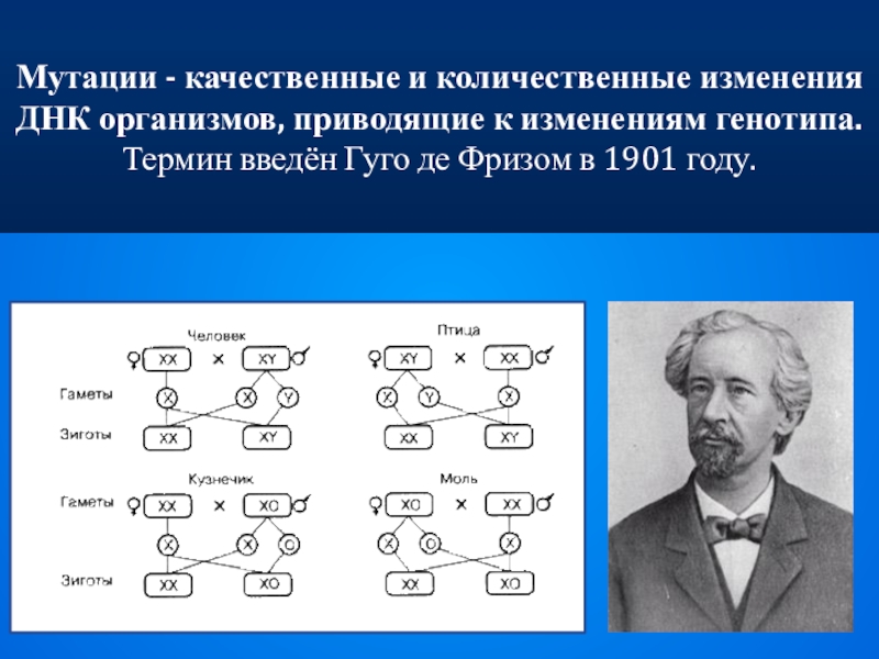 Количественные изменения в структуре природного тела