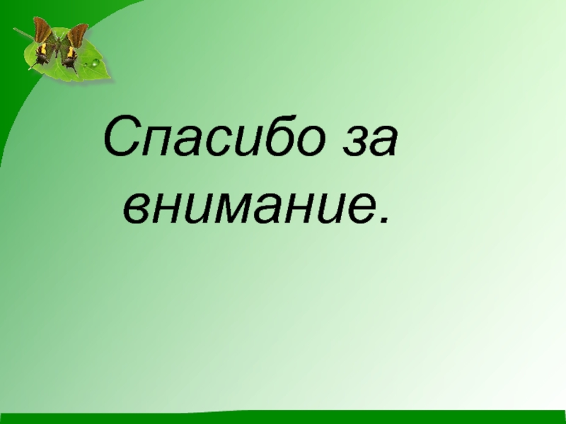 Презентация по биологии спасибо за внимание