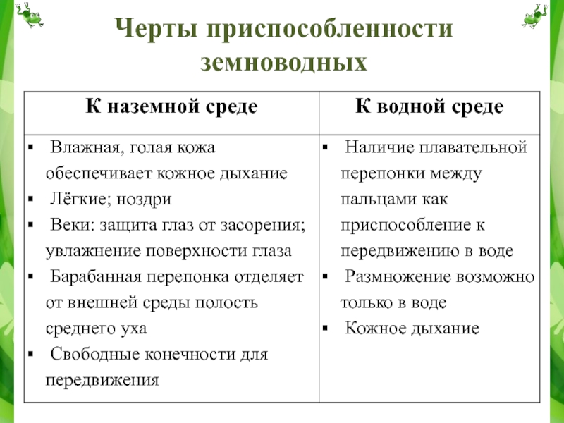 Признаки сред. Таблица черты приспособления земноводных. Черты приспособления земноводных к наземной среде. Приспособления земноводных к среде обитания. Черты приспособленности к среде обитания земноводных.