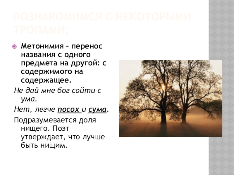 Познакомимся с некоторыми тропами:Метонимия – перенос названия с одного предмета на другой: с содержимого на содержащее.Не дай