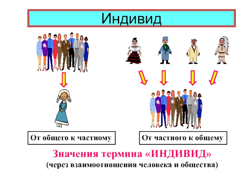 Человек индивид личность взаимосвязь понятий проект по обществознанию