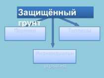 Презентация к уроку Технология в 5 классе по теме парники и теплицы