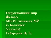 Презентация урока по теме Жизнь луга