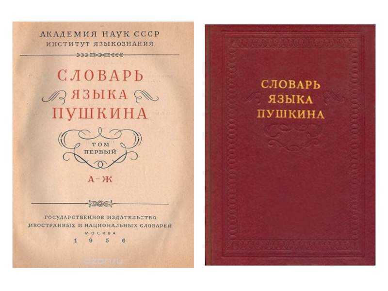 Словарь писателя. Словарь языка Пушкина Виноградов. Словарь языка Пушкина Винокур. Словари языка писателей. Словарь языка Пушкина Автор.