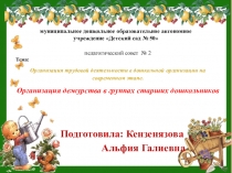 Презентация Организация трудовой деятельности в дошкольной организации на современном этапе. Организация дежурства в группах старших дошкольников.