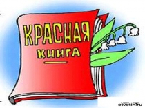Презентация по природоведению на тему Красная книга. Растения. (5 класс)