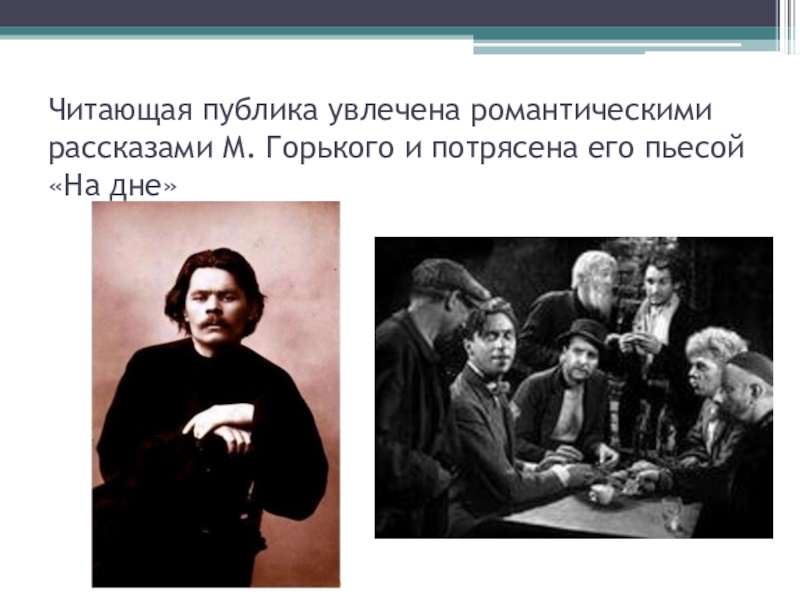 Жанровое многообразие толстого. Читающая публика. “Читающая публика” 'NH.