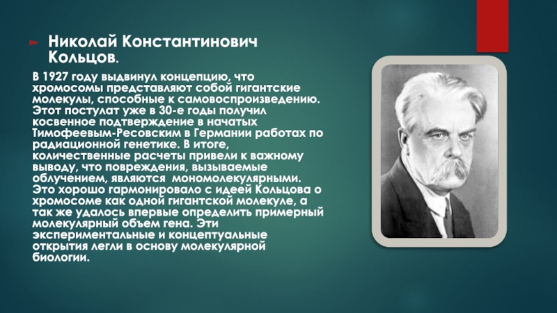 Концепция выдвинутая. Николай Константинович Кольцов. Кольцов биология. Кольцов Николай Константинович вклад в биологию. Кольцов биолог биография.