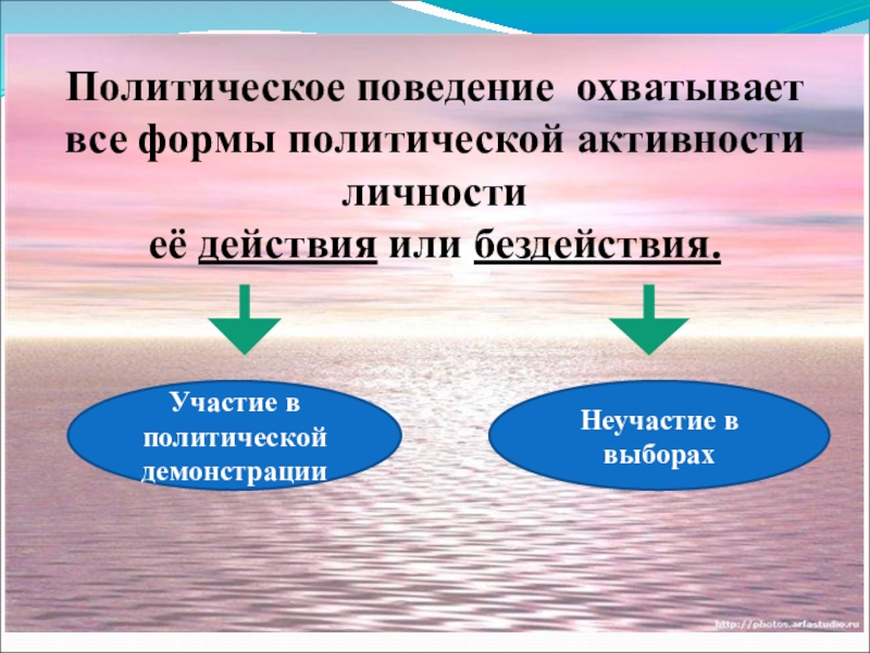 Презентация по обществознанию политическое поведение для 11 класса