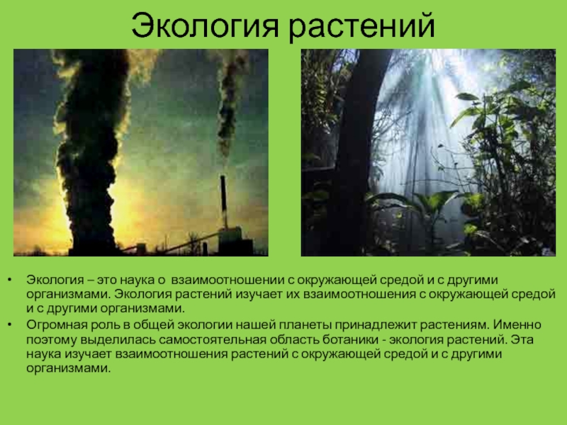 Егэ экология это наука о взаимодействии живых. Экология р. Экология растений. Что изучает экология растений. Растение в окружающей среде.