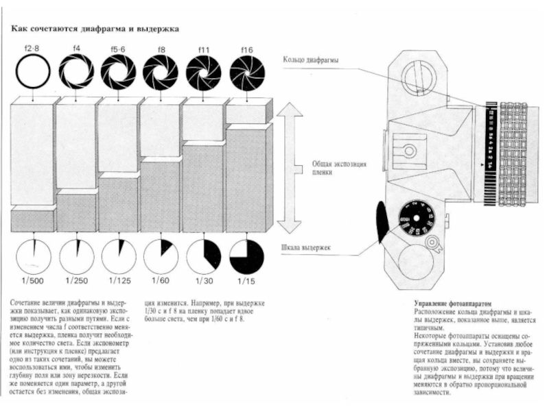 Настройки диафрагмы. Таблица ИСО выдержки и диафрагмы. Экспозиция диафрагма Выдержка ISO. Схема выдержки и диафрагмы. Сочетание диафрагмы и выдержки таблица.