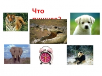 Презентация к внеурочному занятию по развитию познавательных способностей (1 класс)