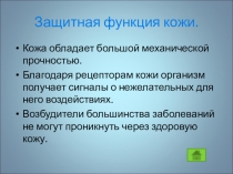 Презентация по биологии строение кожи на тему: Строение и функции кожи 8 класс