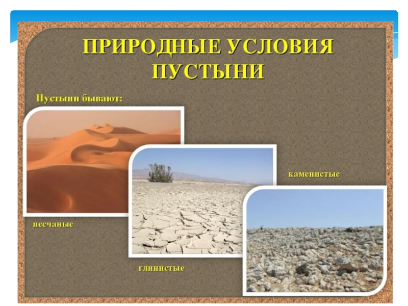 Природная зона пустыня. Природные условия в пустынях. Условия пустыни. Природные условия пустынь. Природная зона пустыня презентация.