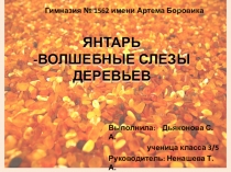 Презентация к защите исследовательской работы