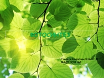 Презентация по биологии на тему Фотосинтез (6 класс)