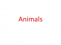 Презентация по английскому языку Wild and domestic animals.