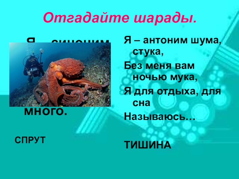 Я синоним. Шарады с антонимами. Шарады с синонимами. Я синоним осьминога а без с в метле. Осьминог синоним.