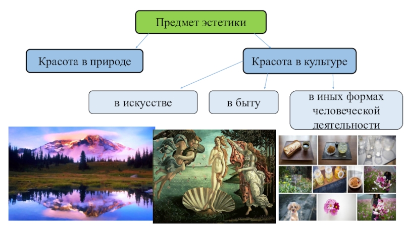 Эстетика природы презентация