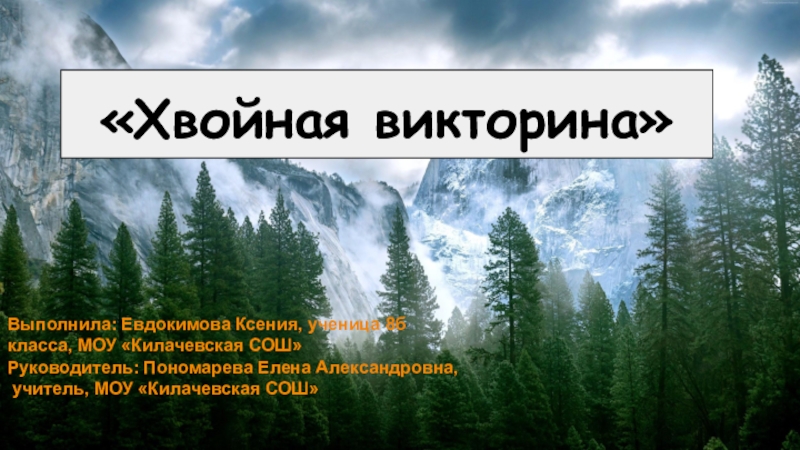 Презентация для классного часа или внеклассного мероприятия на тему Хвойные деревья