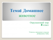 Презентация Домашнее животное - корова