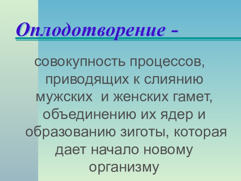 Процесс слияния мужской и женской гамет