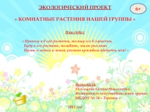 Комнатные растения  нашей группы