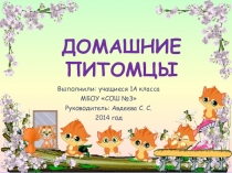 Проект по окружающему миру в 1 классе Домашние питомцы