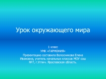 Презентация по уроку окружающему миру на тему Кто такие птицы (1 класс)