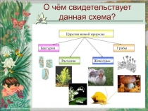 Презентация по биологии на тему Деление царства на группы