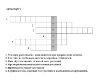 ПрезентацияВнешнее и внутреннее строение корня