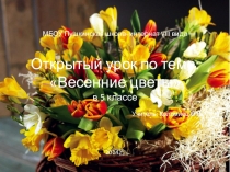 Презентация к уроку Весенние цветы для 5класса. для детей с умеренной умственной отсталостью.
