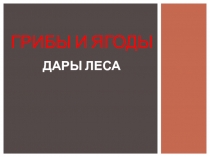 Дары леса: грибы и ягоды