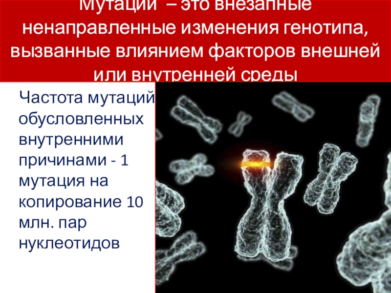 Определенная мутация. Мутации презентация. Хромосомные мутации. Презентация на тему мутации человека. Мутация это изменение генотипа.