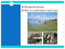 Презентация по биологии на темуМикроэволюция. Вид. Критерии вида(9 класс)