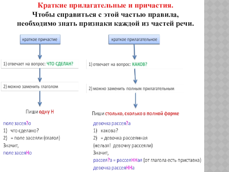 Краткие прилагательные и причастия.Чтобы справиться с этой частью правила, необходимо знать признаки каждой из частей речи.