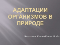 Презентация по биологии Адаптации живых организмов (11 класс)