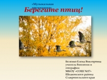 2017 - год экологии в России  Берегите птиц