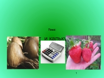 Презентации по предмету финансовый учет на тему Учет затрат и калькулирование выхода продукции растениеводства