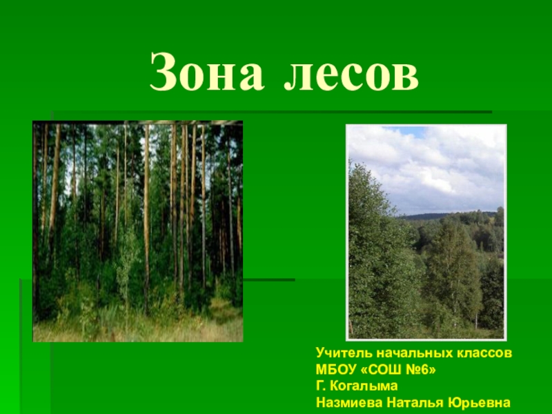 Презентация Презентация к уроку окружающего мира по теме Зона лесов (4 класс)