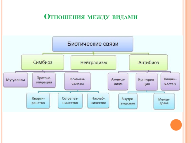 Типы проектов по биологии