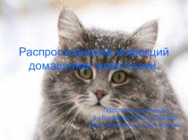 Презентация по биологии Распространение инфекций домашними животными